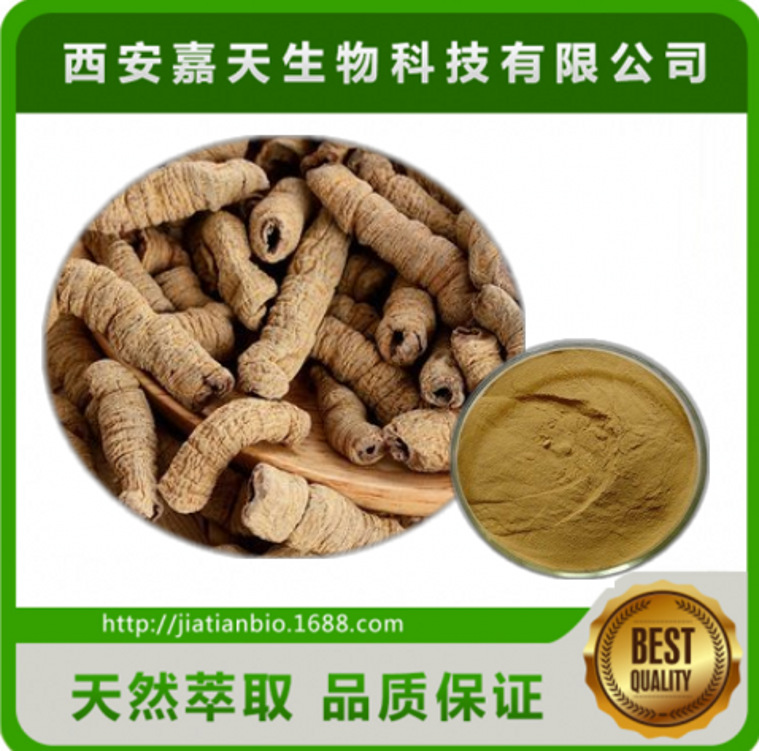 厂家供应巴戟天提取物粉 巴戟天提取物批发价格多种规格 量大从优