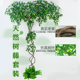 仿真绿植;仿真花;仿真藤条