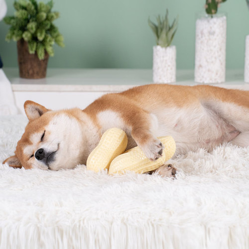 Dog toy relieves boredom, bite-resistant, molars and sounds, Teddy Shiba Inu puppy, Corgi supplies, French dogfighting to amuse the dog