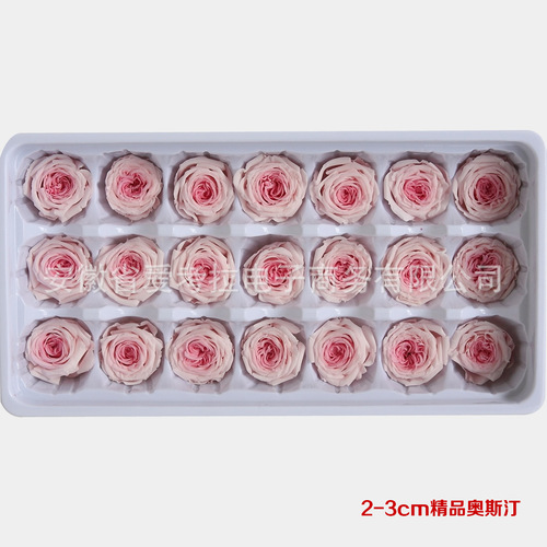 A级2-3CM 3-4CM国产奥斯汀永生花钥匙扣车挂礼盒花材永生花保鲜花