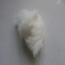 出售白色羊毛原料羊羔绒纺纱做衣做被可拿样品