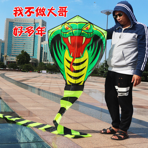 Weifang Kite Wholesale New Bamboo Leaf Green Snake Long Tail 8m 15m 30m Cobra Green King Snake Breeze Kite