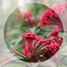 �u�ڻ��N���Pβ���ܻ����׷N����Ƞ��҃��̨���Ի��ܻ���