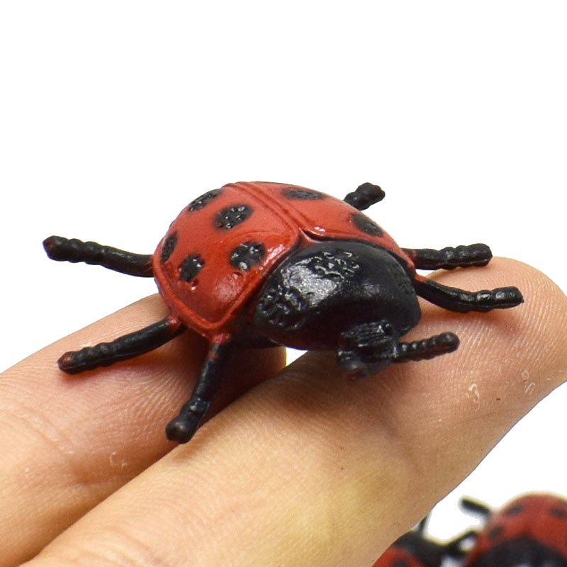 New plastic PVC small insect beetle ladybug model toy scary whole person toy gift