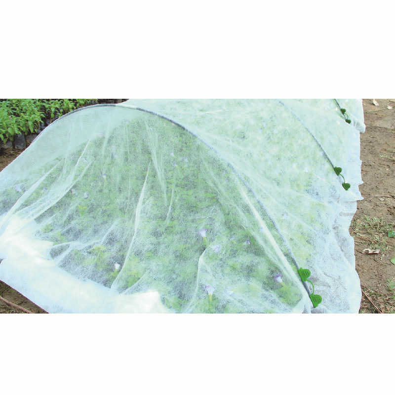 Aislamiento cobertizo invernadero jardín invernadero aislamiento cobertizo jardín suministros balcón invernadero jardín suministros