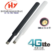 4G LTE�����쾀 12dbi ·���� ��늘� ��̖�C ��؛�C �O�� ��̖��