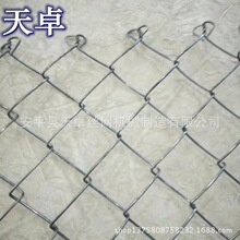 �����W �����W ���ξW �F�z�W��W�� �r�񃞻� ��׿�S������