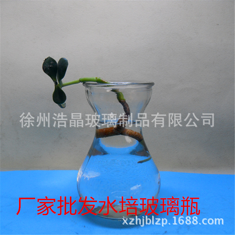 风信子花瓶 水培养殖玻璃瓶 水培植物用花瓶 台面干花玻璃瓶