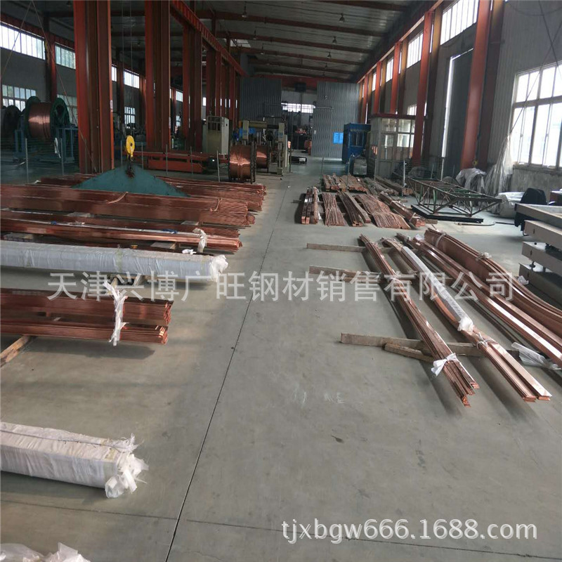 供应定尺接地铜棒 T2紫铜棒 导电紫铜棒