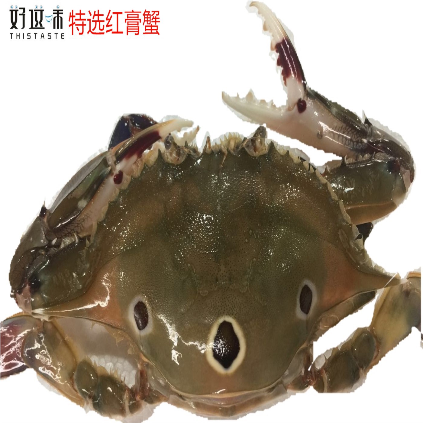 红膏蟹/红膏三点蟹 /3-4两一只 红母/膏满肉多红蟹肥美蟹黄