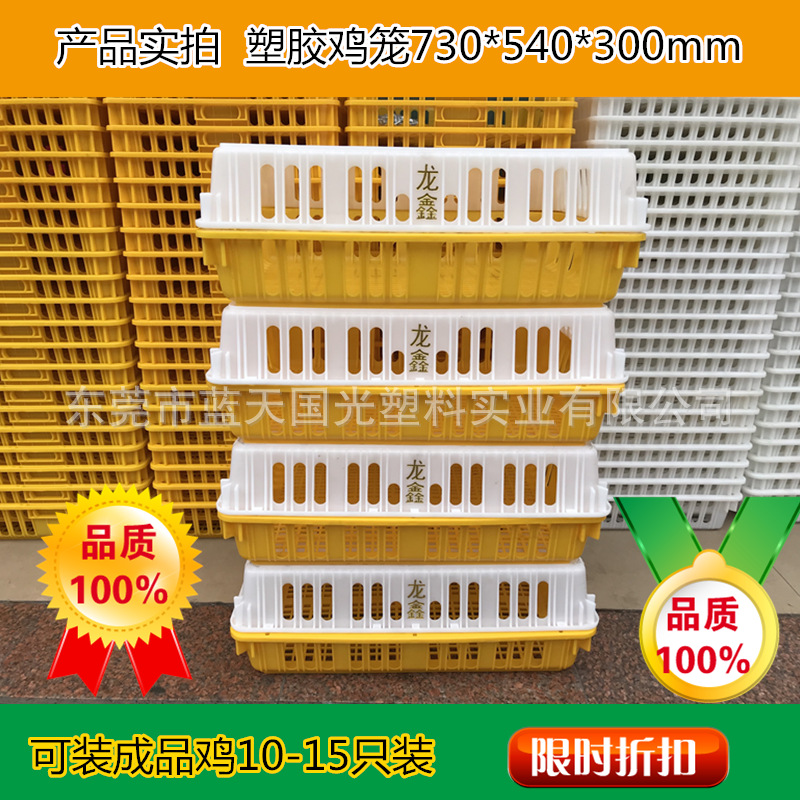 批销广西家禽市场运输鸡笼成品成鸡周转鸡笼子黄白鸡笼成鸡框