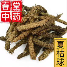 夏枯球500g 中药材批发供应新货夏枯球 夏枯草 现货供应 量大从优