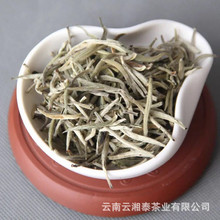 批發 雲南普洱生茶 2023年月光白單芽 （小芽 ）老樹茶 明前春茶