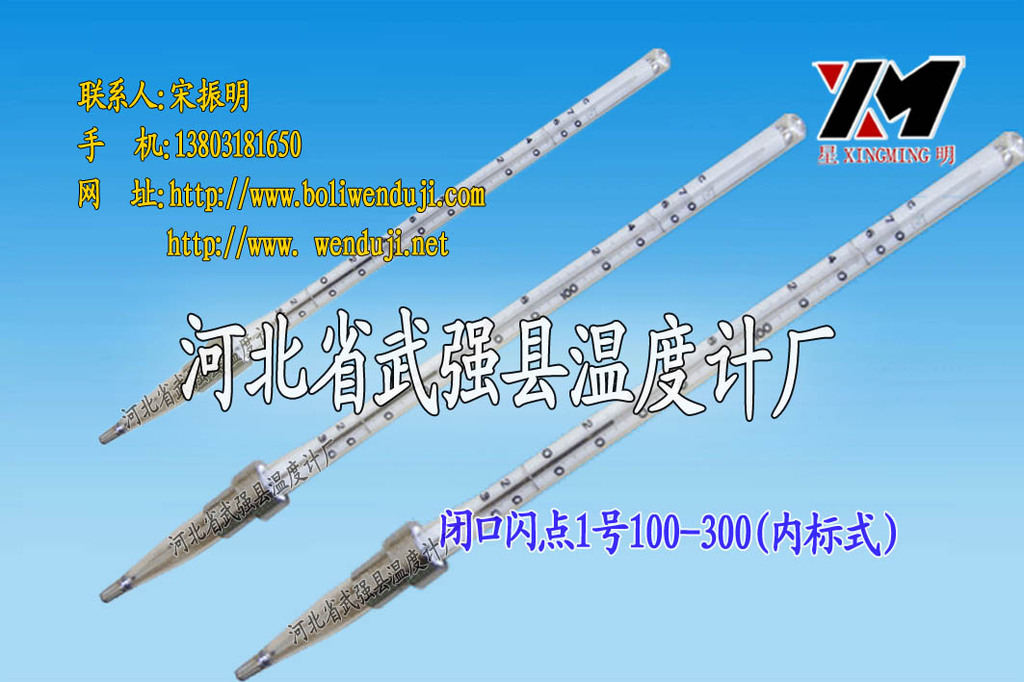 供应 闭口闪点温度计2号100-300度 内标式