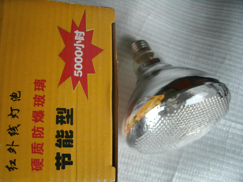 小猪取暖灯泡 烤灯 高档红外线灯泡 加厚防水防爆硬质灯泡