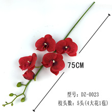 �Wʽ���潁�������m���ֹ���֦5�^ �廨�b�����r�л���DIY���