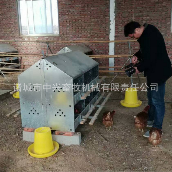 平养鸡用产蛋屋，蛋鸡产蛋箱，厂家批发产蛋箱