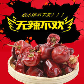 贵州贸易市场的活力与机遇
