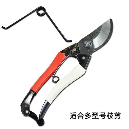 Gardening stainless steel spring branch shears for pruning branches, fruit tree scissors, pruning flower branches, thick branches, garden fruit branch scissors accessories
