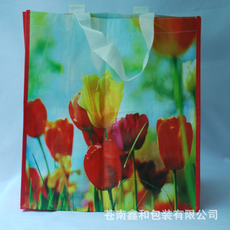 供应彩印腹膜深圳无纺布袋 无纺布袋 无纺布袋定购无纺布袋厂家