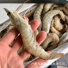40-50水冻厄瓜多尔白虾1.4kg/盒海鲜青虾火锅烧烤用大对虾大青虾