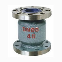 H42B-40C氨用立式止回阀