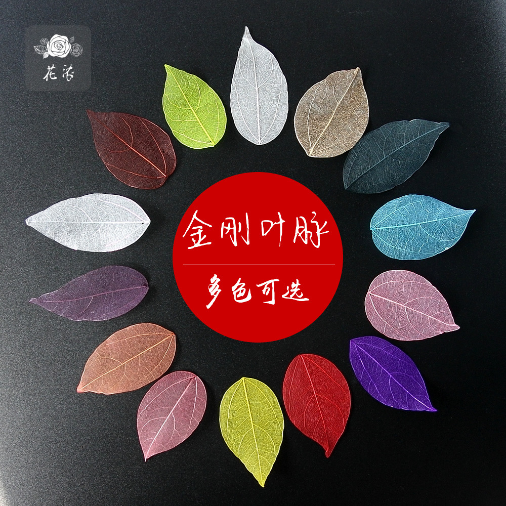DIY preserved flower gift box with flower diamond leaf veins colorful mesh leaves magnolia leaves dried flowers