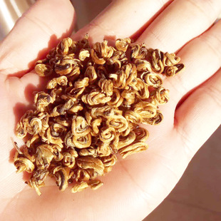 ���l���2025�紺�P�c��t������ݼt���ѿ��ѿ��Ʒ�|�a��؛Դ