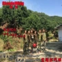遥控模式植保定位旋翼