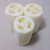 Large bleached loofah segment 12.5 cm long