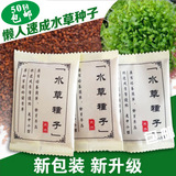 Семена водных растений для озеленения аквариума, нет необходимости в CO2, семена водных растений, семена водных растений, быстро прорастают, живут и просты в уходе