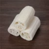 10 cm long bleached loofah segments
