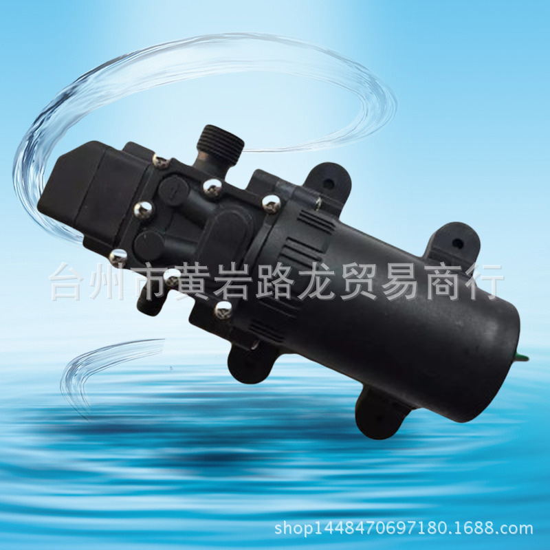 现货批发12伏微型隔膜泵 60瓦洗车泵 智能压力泵 洗车器水泵