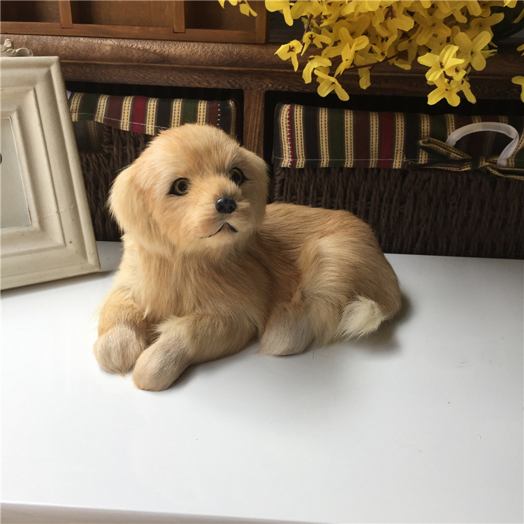 Modello realistico di cane Golden Retriever, decorazione per la casa._voghion.com