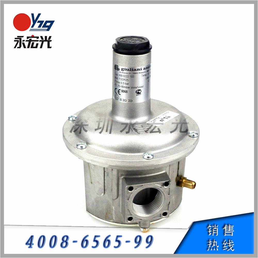 FGDR20稳压阀朱丽安尼GIULIANI原装燃气调压阀燃烧机配件供应商