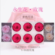 �ɻ����������˹��YƷ���r��õ�廨���Y���ֹ������S��ֱ�IA��5-6