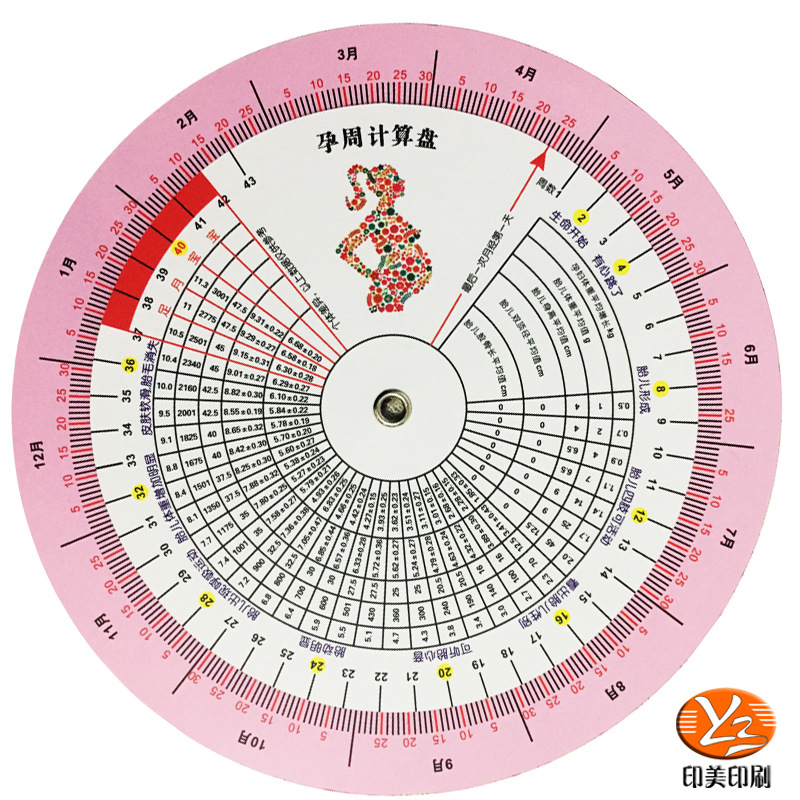 厂家现货生产孕妇预产期可查精准排卵推算盘对照表彩印孕周盘批发