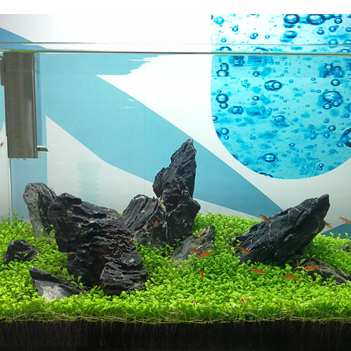 Naturally selected blue dragon stone fish tank pickled landscaping stone aquatic decoration aquatic plants landscaping grass tank rockery landscaping stone