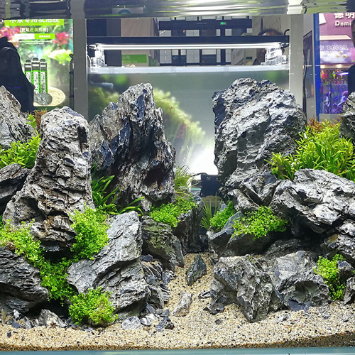 Naturally selected blue dragon stone fish tank pickled landscaping stone aquatic decoration aquatic plants landscaping grass tank rockery landscaping stone