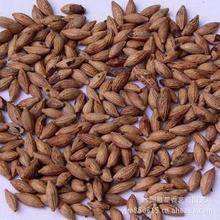 ���l�����²ɝ��㻨�ܳ����N�� ����Ʒ�N �lѿ�ʘO�� ��طN��