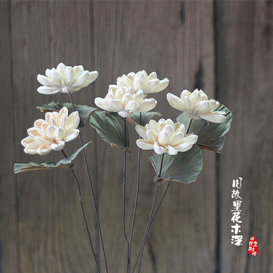 Lirio de agua planta fresca casa Café Bar tienda decoración del arte ramo flores secas loto Decoración