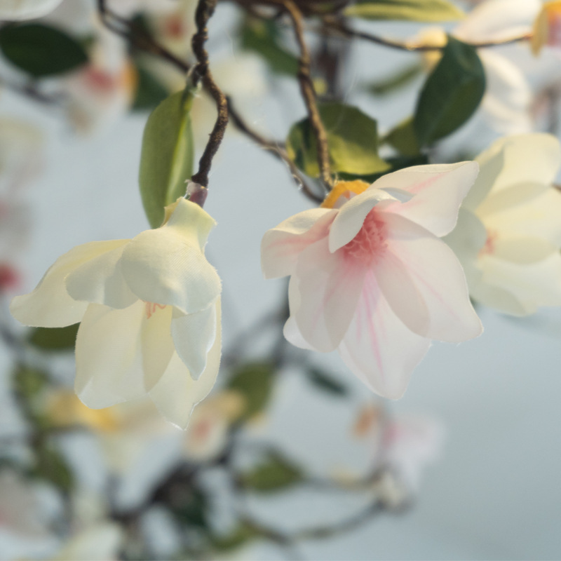 婚庆藤蔓花墙装饰花藤 仿真花树藤假人造花艺假花藤条仿真玉兰花