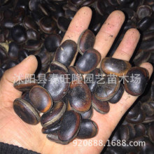 ���l��ľ�N�� �����²������ٷN�� ţ�R�� �|���� �lѿ�ʸ�