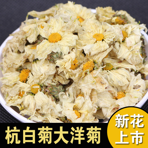 Bulk Tongxiang Hangbai Chrysanthemum Tea New Arrival Hangzhou Chrysanthemum Tea Loose Blossoms Original Source Place Bulk Wholesale