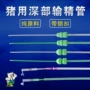 一次性人工猪用母猪输精管