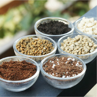 �����w���� �I�B�� ���ʯ ����������������ʯ�����һ��|��ʯ��