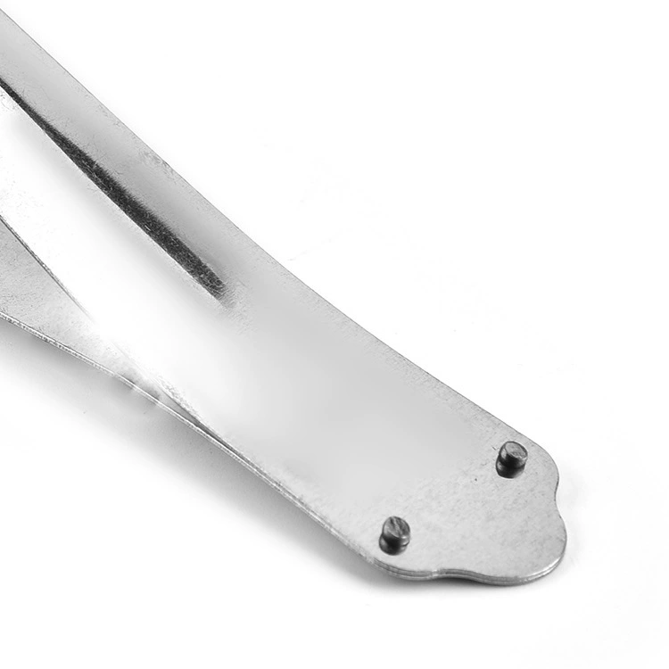 Stainless Steel Pineapple Seed Remover Tongs, Pointed Tip Fruit Tweezer, 13.5 cm