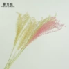 Primary colors (1 bunch of 10 branches)