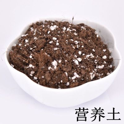進口泥炭土小包通用土多肉土多肉植物營養土專用土綠蘿種植土批發