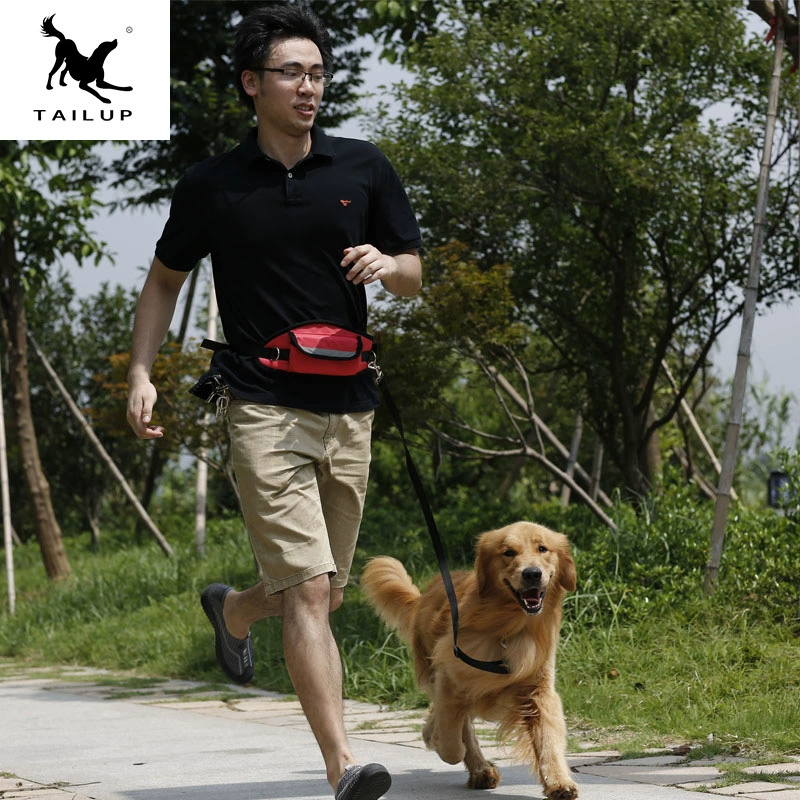 Начало Источник Спорт Открытый Продукты Pet Талия Сумка Тяговый пояс Усиленная длинная Pet Талия Сумка